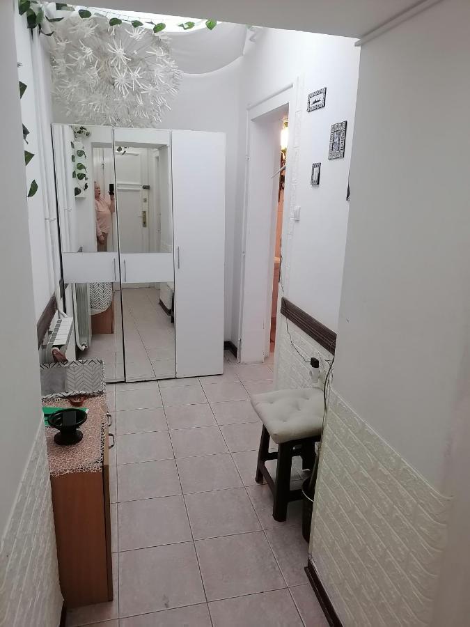 Low Cost Apartment بلغراد المظهر الخارجي الصورة