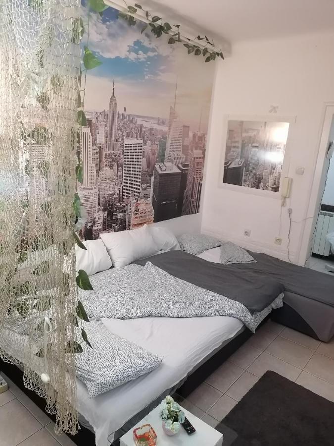 Low Cost Apartment بلغراد المظهر الخارجي الصورة