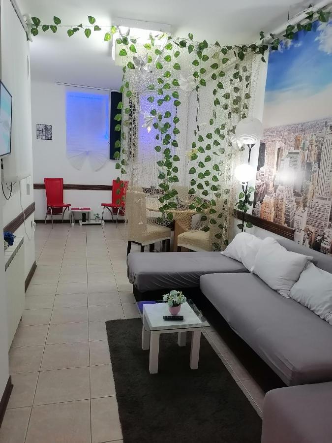 Low Cost Apartment بلغراد المظهر الخارجي الصورة