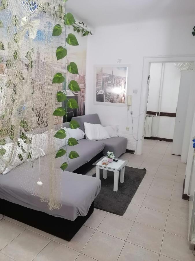 Low Cost Apartment بلغراد المظهر الخارجي الصورة